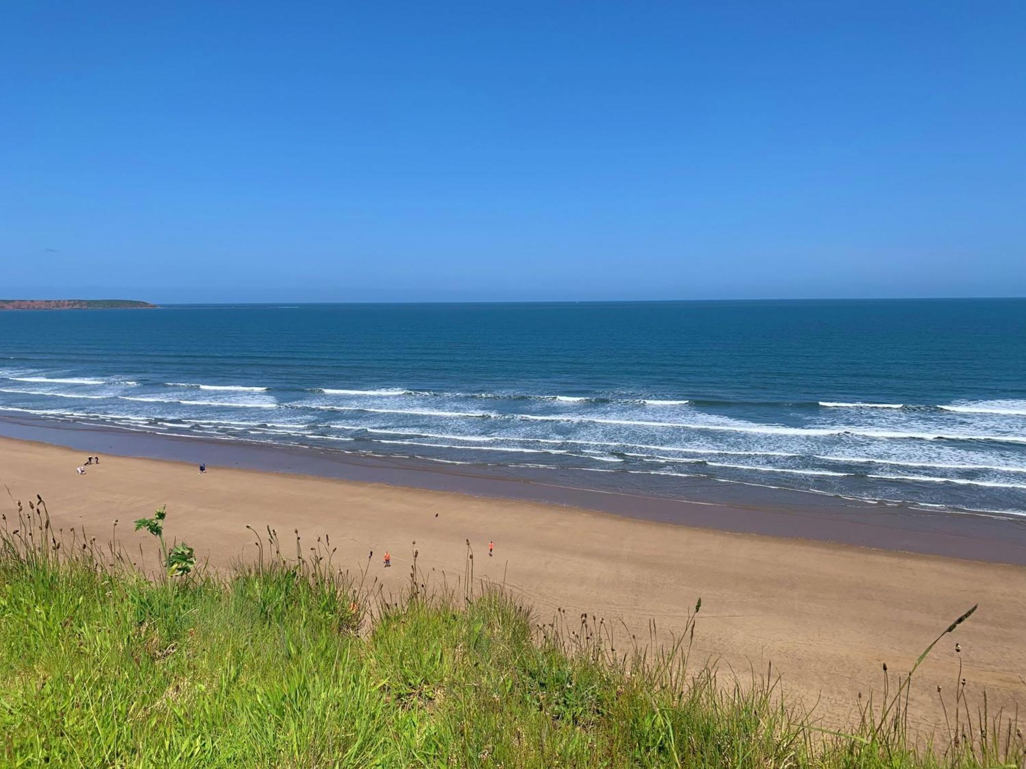Salty Dog At The Bay Filey, Sleeps 4, 2 Dogs Welcome For Free Too Eksteriør bilde